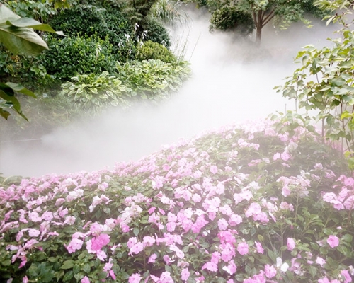 公園噴霧造景